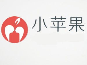 寧波小蘋果青春網(wǎng)絡(luò)科技 數(shù)字化時代的計算機(jī)服務(wù)領(lǐng)航者